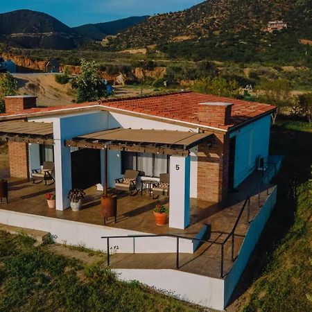 Quinta Sofia Valle De Guadalupe (Adults Only) Exteriér fotografie
