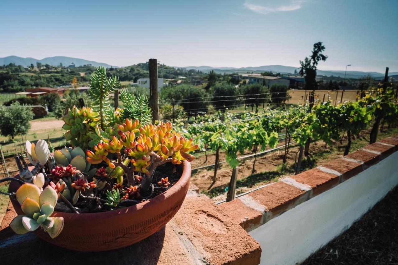 Quinta Sofia Valle De Guadalupe (Adults Only) Exteriér fotografie