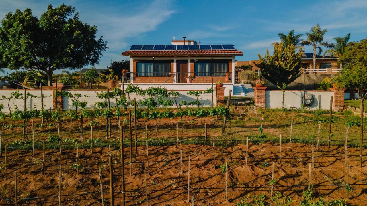 Quinta Sofia Valle De Guadalupe (Adults Only) Exteriér fotografie