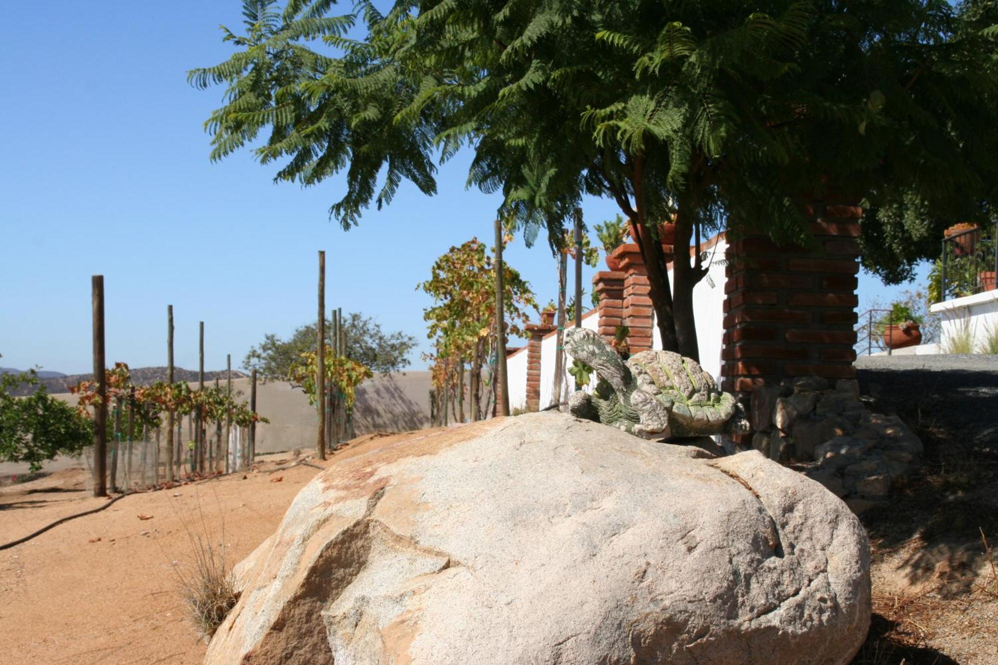 Quinta Sofia Valle De Guadalupe (Adults Only) Exteriér fotografie