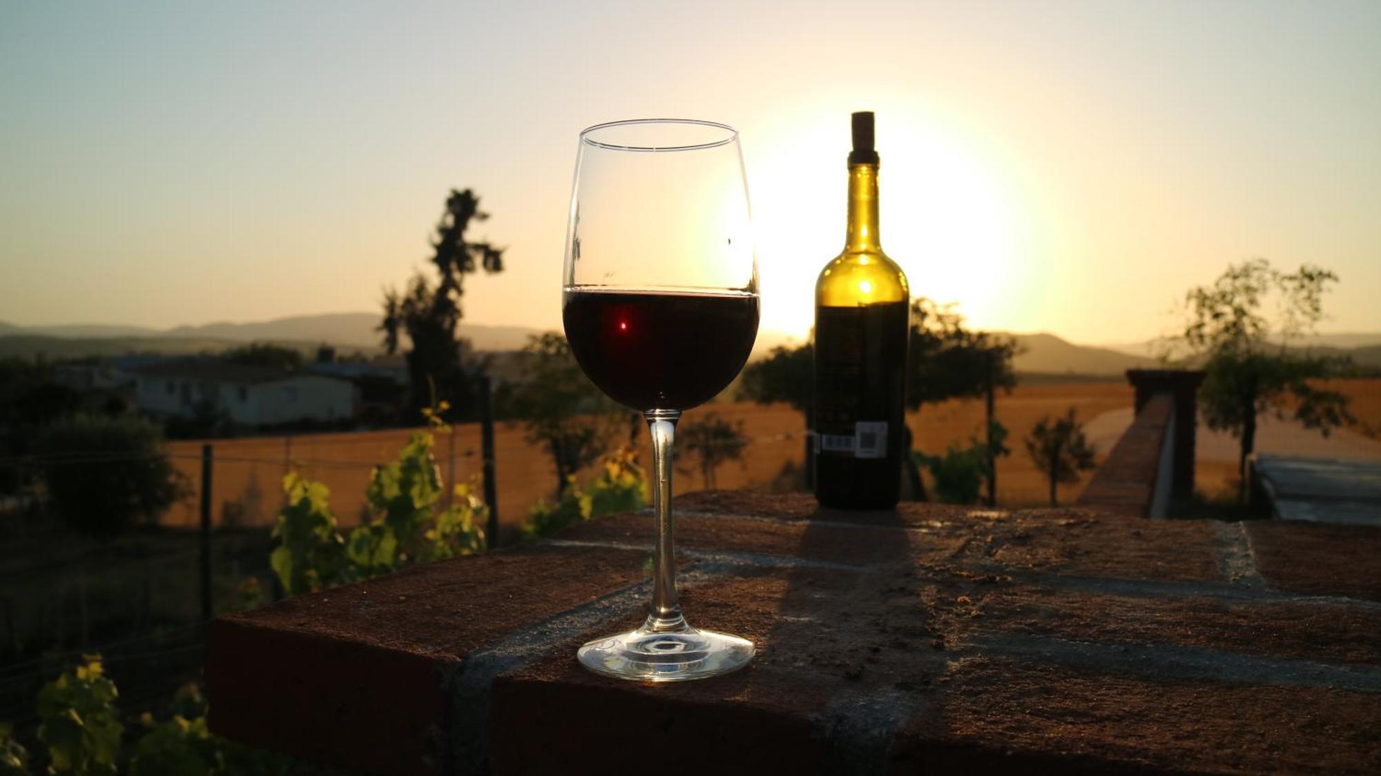 Quinta Sofia Valle De Guadalupe (Adults Only) Exteriér fotografie